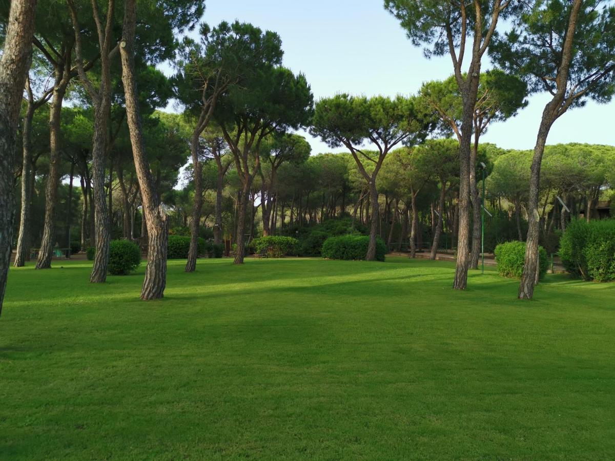 Holiday home Deliziosa Sul Mare Appena Ristrutturata
