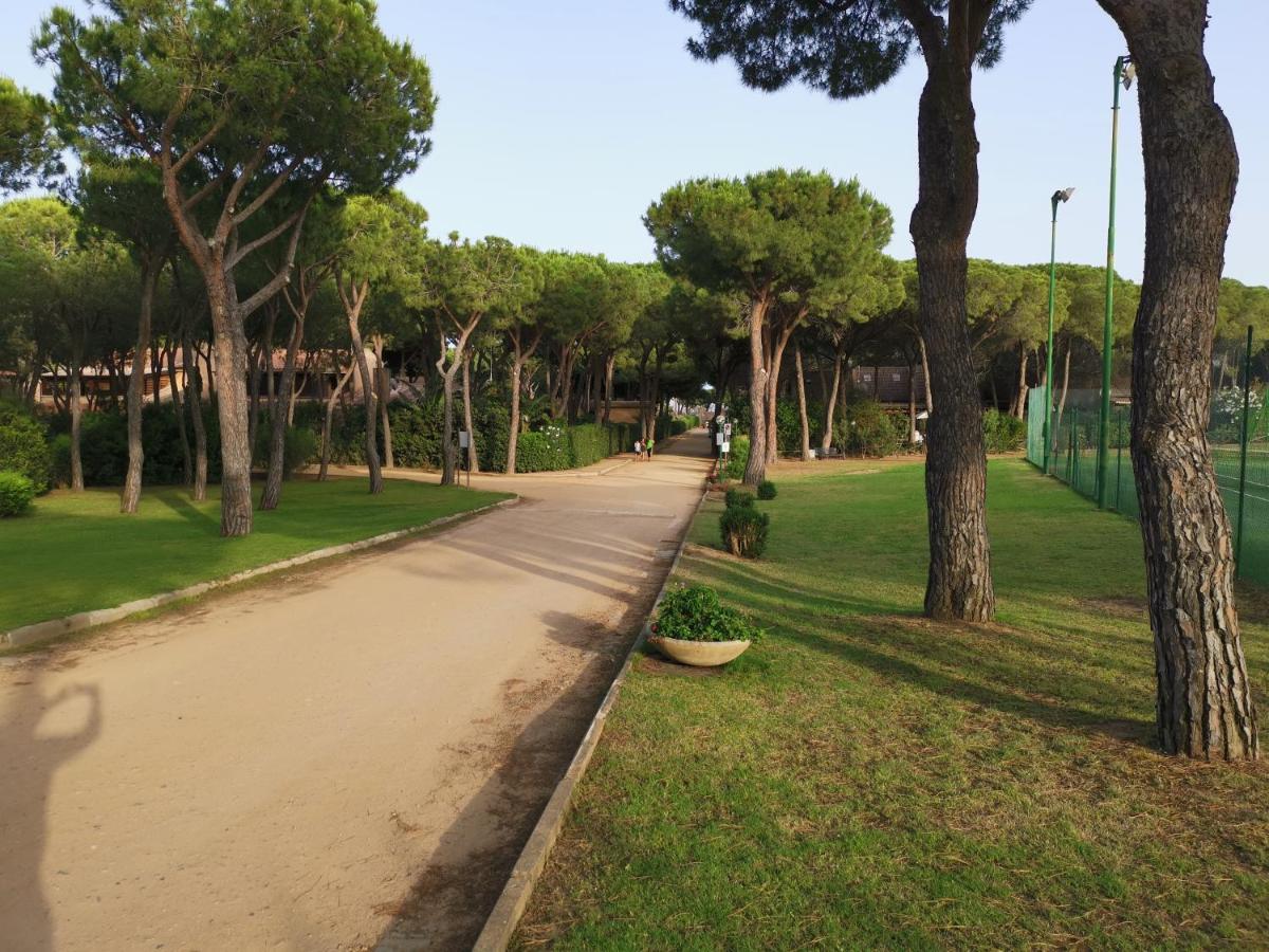 Holiday home Deliziosa Sul Mare Appena Ristrutturata *