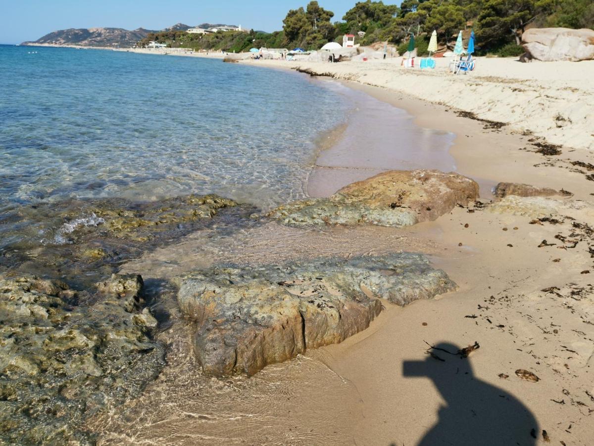 Deliziosa Sul Mare Appena Ristrutturata
