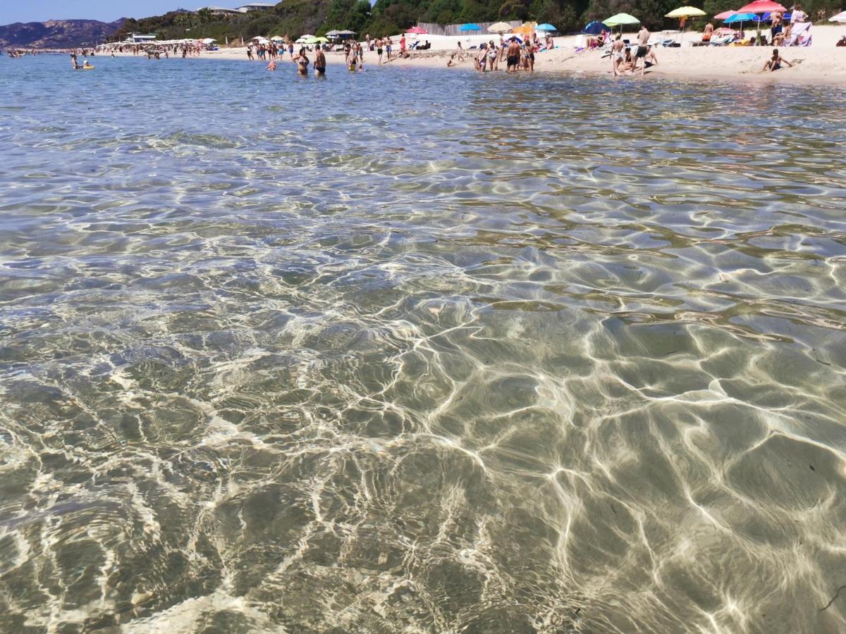 Deliziosa Sul Mare Appena Ristrutturata *