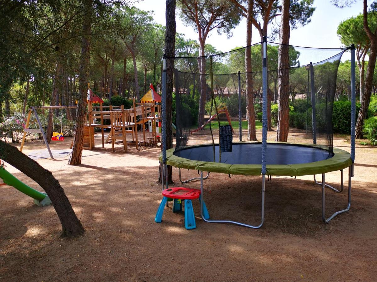 Deliziosa Sul Mare Appena Ristrutturata Holiday home Pula
