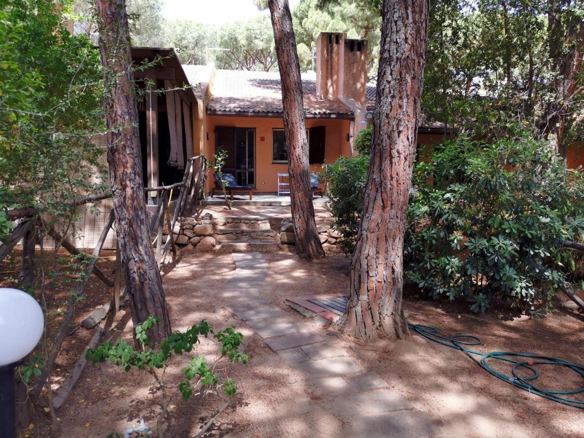 Holiday home Deliziosa Sul Mare Appena Ristrutturata Pula